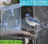 Window Bird Feeder- See Songbirds from Home!