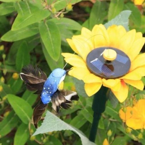 Solar Dancing Hummingbird &Butterfly