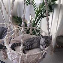 Hanging Cat bed