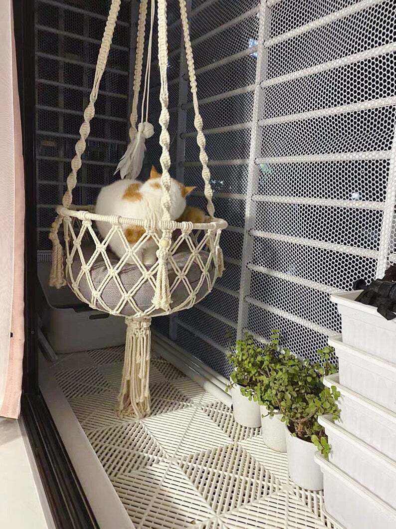 hanging cat bed