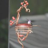 Red Berries Hummingbird Feeder