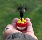 Handheld Hummingbird Feeder – Red cap with Yellow flower