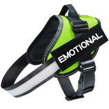 THE PERSONALIZED NO PULL HARNESS