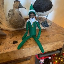Snoop on a Stoop Christmas Elf Doll