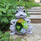 Solar Frog Statue with Succulent LED Light