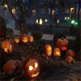 Halloween Hot Sale!Talking Animated Pumpkin with Built-In Projector & Speaker