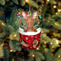 Pharaoh Hound In Snow Pocket Christmas Ornament
