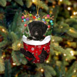 Tibetan Terrier 2 In Snow Pocket Christmas Ornament