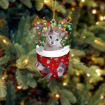 Cat 21 In Snow Pocket Christmas Ornament