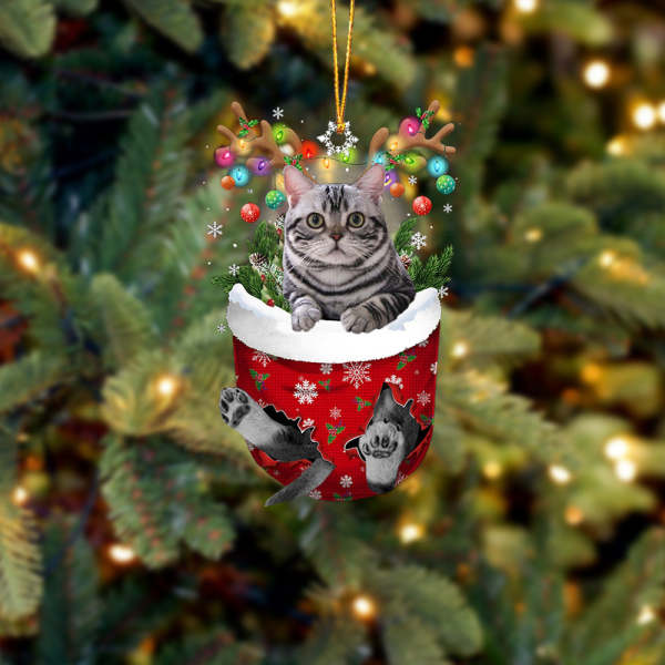 Cat 6 In Snow Pocket Christmas Ornament