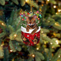 Cat Tiger In Snow Pocket Christmas Ornament