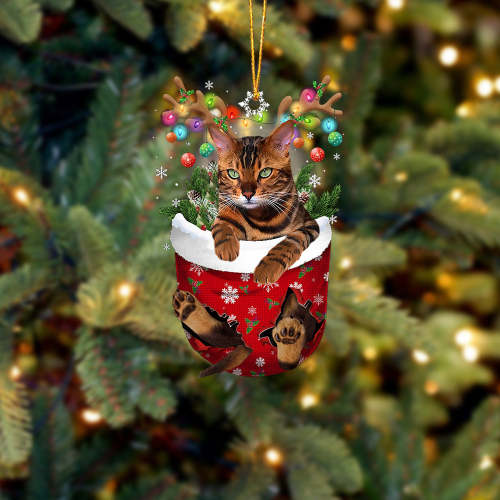 Cat Tiger In Snow Pocket Christmas Ornament
