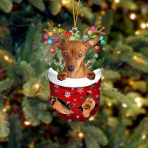 RED Miniature Pinscher In Snow Pocket Christmas Ornament