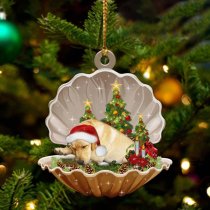 Yellow Labrador-Sleeping Pearl in Christmas Two Sided Ornament