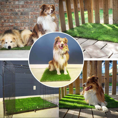 🎄Christmas Hot Sale 50% OFF - DOG LAWN
