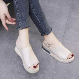 🔥LIMITED TIME OFFER: 50% OFF-2023 WOMEN'S NEW THICK- Fashion Orthopedic Sandals