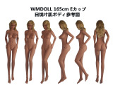 WM Doll ラブドール  ボディのみ専用販売ページ 頭部無し TPE製