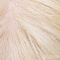 金髪-植毛（髪型はご指定可能、硬質シリコンヘッドのみ）