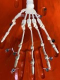 新技術の骨格関節