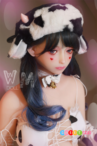 WM Doll ラブドール 154cm Bカップ #153ヘッド TPE製