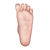 XTDOLL 最大約151,000円割引 3月31日迄 ラブドール 軽量化仕様 フルシリコン製 ボディとヘッド自由組合 M16接続 ダッチワイフ