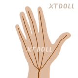 XTDOLL ラブドール 150cm Dカップ Cocoa ヘッド（#XT-byx4-B)  等身大ドール 軽量化仕様
