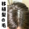 髪の毛の植毛‐硬めシリコンヘッド限定（髪型や髪色をご指定可能です）