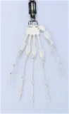 FUDOLL ラブドール 148cm Dカップ #11 フルTPEドール