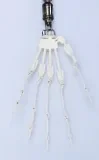 FUDOLL 高級ラブドール 163cm Dカップ J002 シリコン製 等身大リアルドール 口開閉機能あり