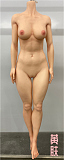 伴趣 はんしゅ B1 川崎由美 OL秘書 ダッチワイフ 最新 162cm Cカップ 等身大 シリコンドール BQDOLL