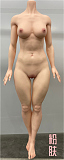 伴趣 はんしゅ B1 川崎由美 OL秘書 ダッチワイフ 最新 162cm Cカップ 等身大 シリコンドール BQDOLL