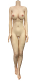 伴趣 はんしゅ B1 川崎由美 OL秘書 ダッチワイフ 最新 162cm Cカップ 等身大 シリコンドール BQDOLL