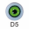 D5