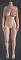 155cm Fカップ