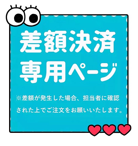 差額決済専用ページ（BC2025010862716773938 2Bフィギュアの残金）