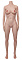 145cm Bカップ