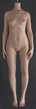 FANREAL 170cm Dカップ 巨乳ラブドール Gina フルシリコン製 ダッチワイフ M16接続