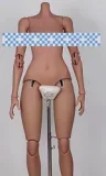 Guavadoll DM08 看板娘 ビニール 球体関節 JKラブドール アニメ エロ 160cm Cカップ