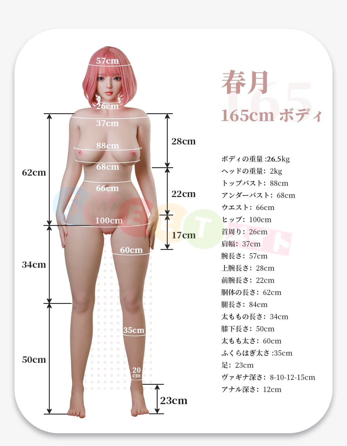 artdoll 165cmセックス人形