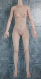 SHEDOLL 148cm 普乳 熙熙ちゃん 可愛い フルシリコン製ラブドール