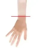 蛍火日記 小里森 160cm Gカップ 古風美人 ダッチワイフ シリコン製 口開閉機能選択可能
