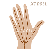 XTDOLL XT-6 Julie ラブドール 165cm Eカップ リアルダッチワイフ シリコン製