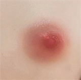 （勿用）J-cute 8%OFF 初夏キャンペーン 6月8日まで 美少女ダッチワイフ シリコンヘッド S-TPEボディ貧乳エロ人形