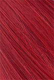TOP-CYDOLL Noa エロい表情の団子ヘア美少女 ダッチワイフ 157cm Dカップ フルシリコン製 セックスドール ROS口開閉機能付き