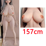 ElsaBabe HC022 菅野律子 シリコン製 ワンピース水着 165cm バニーラブドール