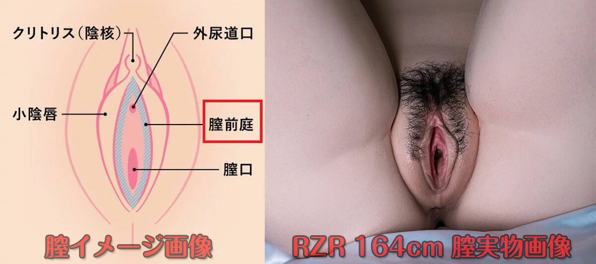rzrdoll人造人 165cmシリコン製ラブドール