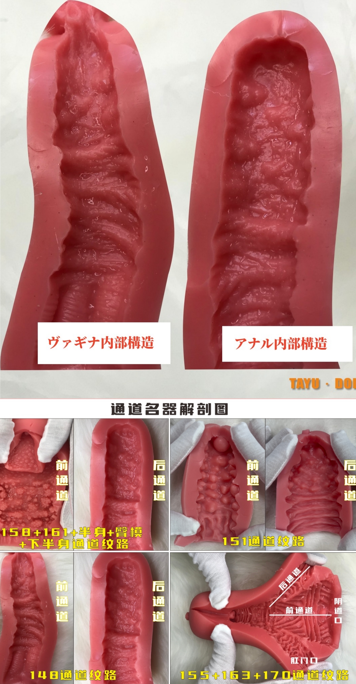 高級ラブドールのホール