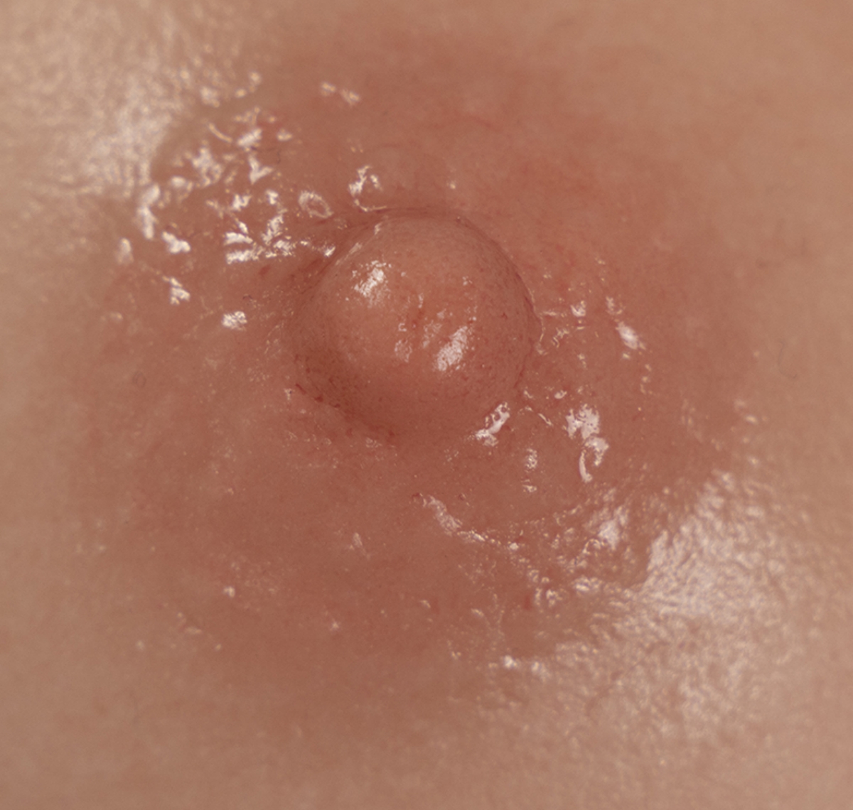 リアルな乳輪 高級ラブドール