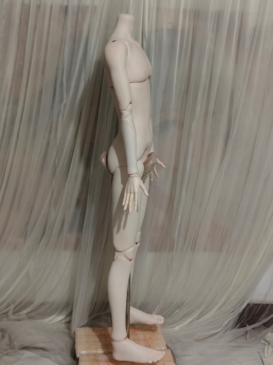 guavadoll（グアバ） 155cm 男性ボディ 側面