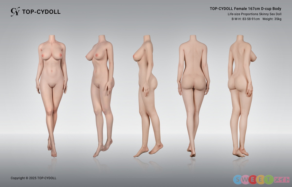 TOP-CYDOLL 167cmDカップ ボディ 三面図